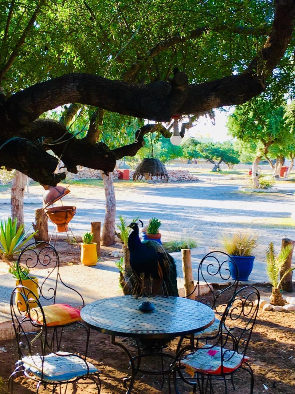Camping&Hôtel Le Calme Essaouira Esterno foto