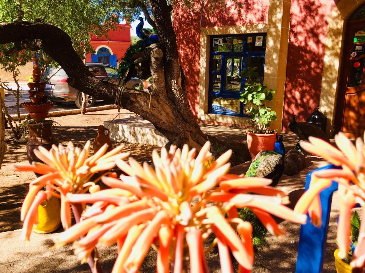 Camping&Hôtel Le Calme Essaouira Esterno foto